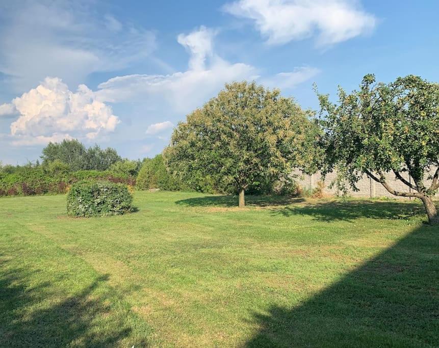 Erd - Csendes, Kenyelmes Csaladi Haz Appartement Buitenkant foto