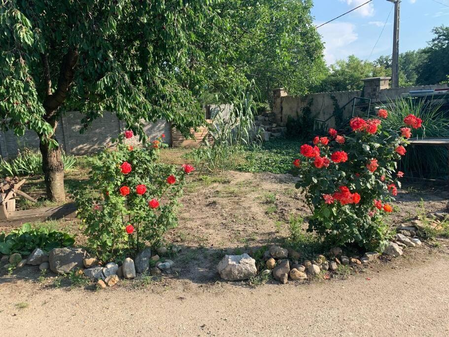 Erd - Csendes, Kenyelmes Csaladi Haz Appartement Buitenkant foto