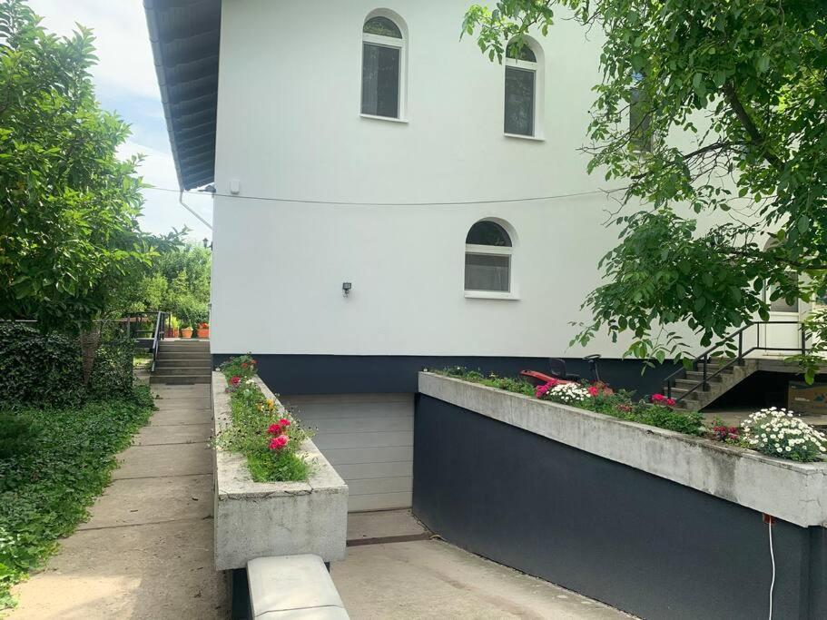 Erd - Csendes, Kenyelmes Csaladi Haz Appartement Buitenkant foto