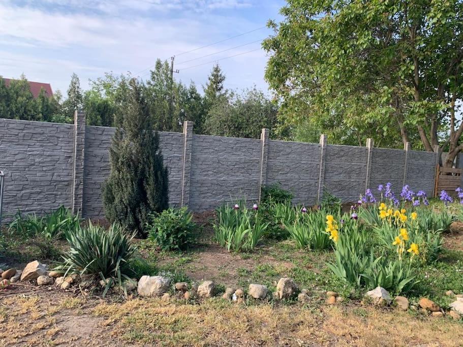 Erd - Csendes, Kenyelmes Csaladi Haz Appartement Buitenkant foto